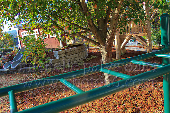 8988-Photo66