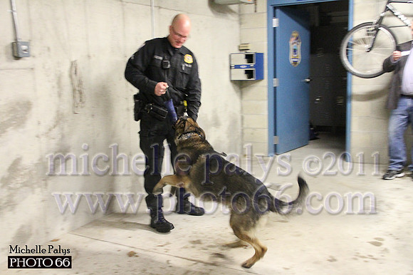 7786-Photo66