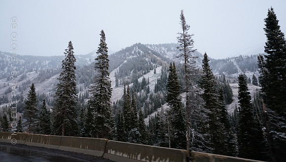 00697-Photo66