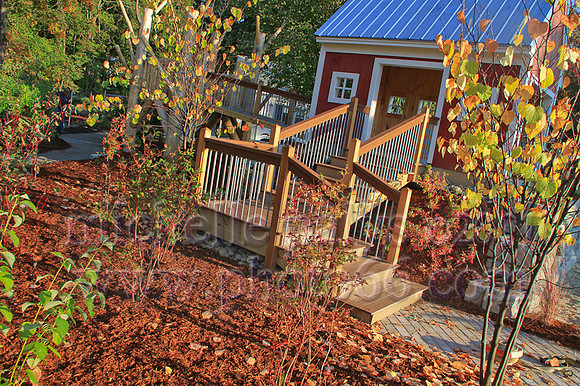 8779-Photo66