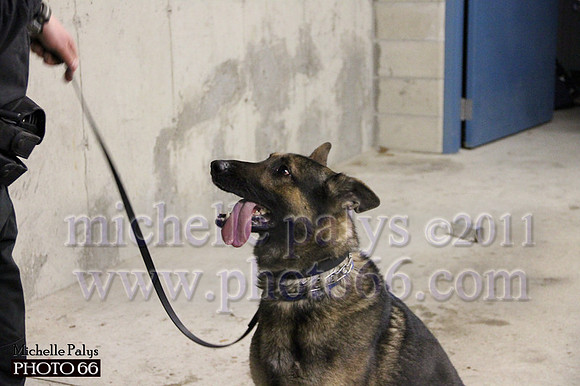 7795-Photo66
