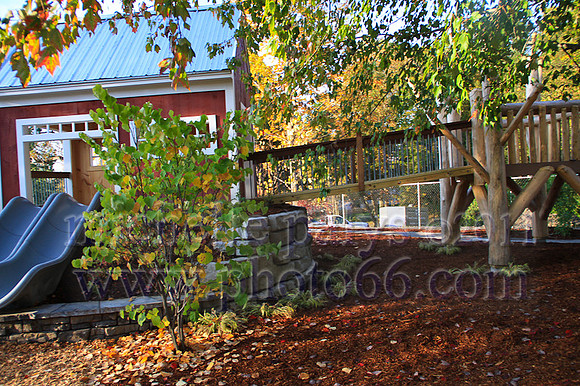 8761-Photo66