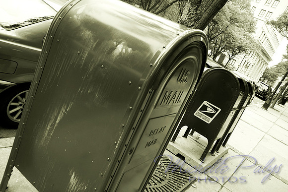 1412-michellepalysphotos