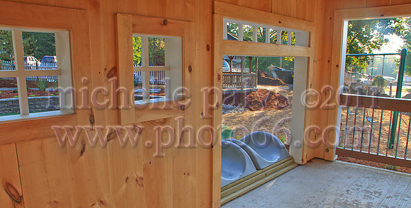 8823-Photo66