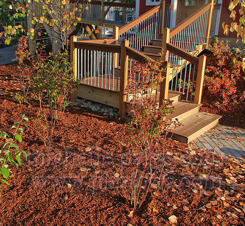 8778-Photo66