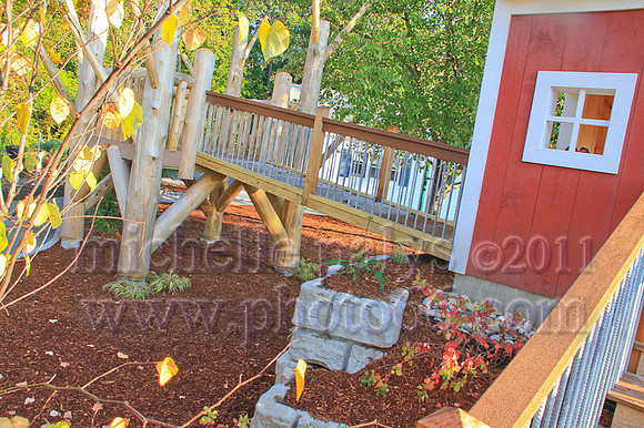8806-Photo66