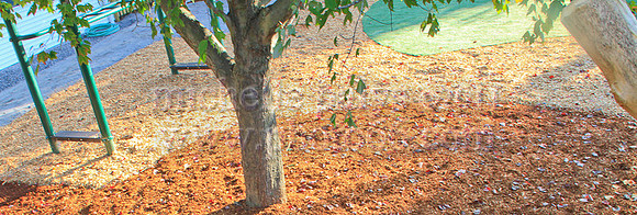 8828-Photo66