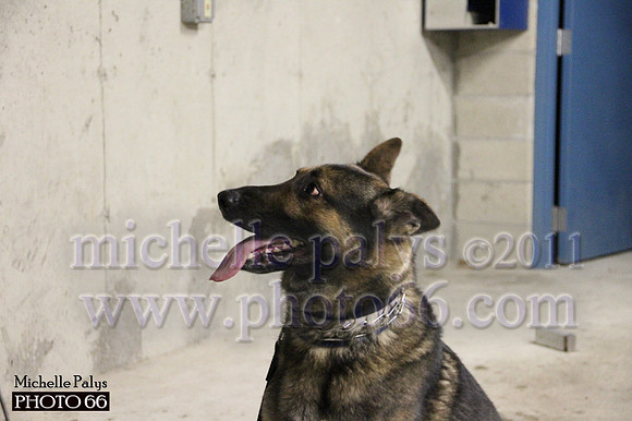 7799-Photo66