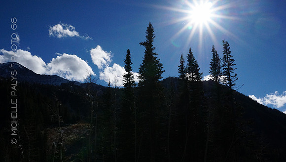 00608-Photo66