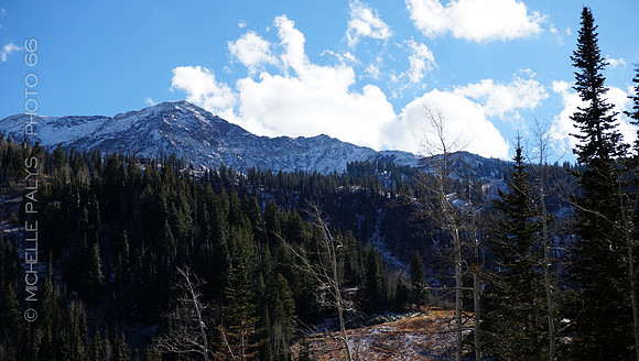 00604-Photo66