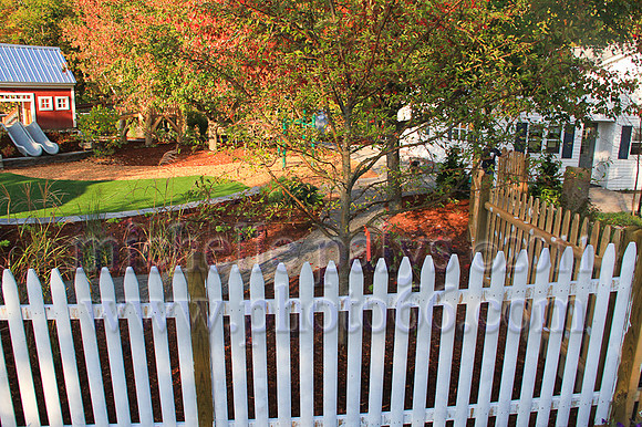 8929-Photo66