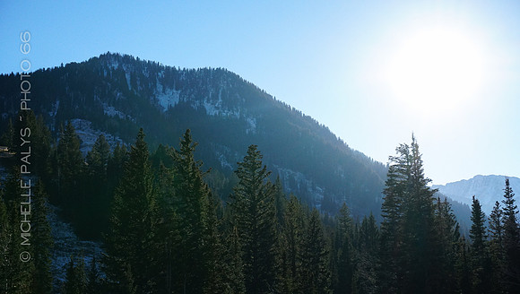 00749-Photo66