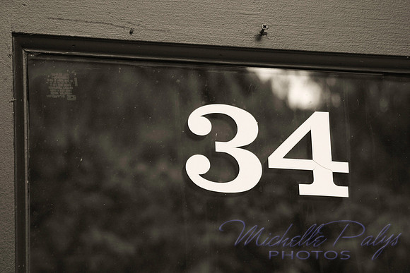 1421-michellepalysphotos