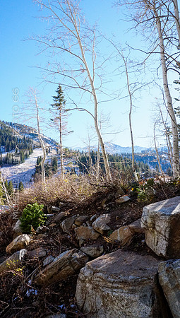 00713-Photo66