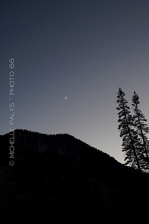 00802-Photo66