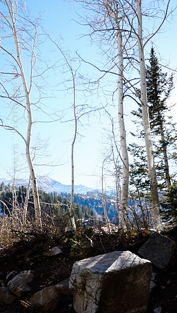 00712-Photo66