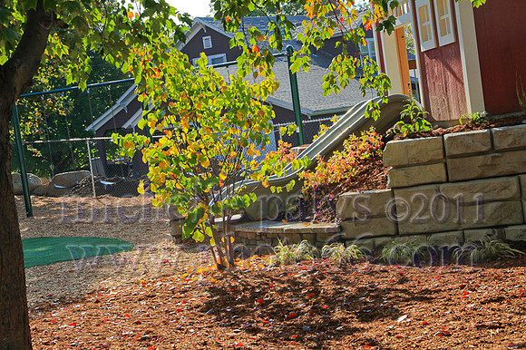 9245-Photo66