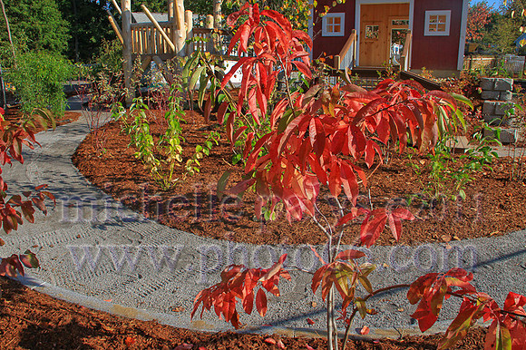 9262-Photo66