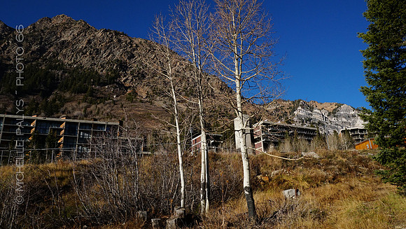 00742-Photo66
