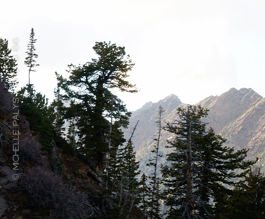 00371-Photo66