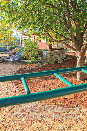 8985-Photo66