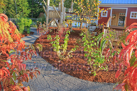 8772-Photo66