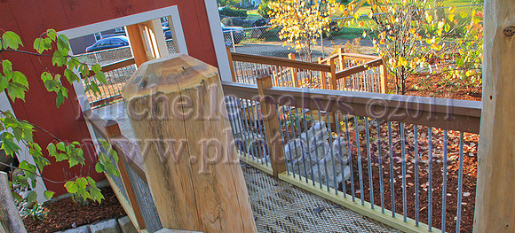 8825-Photo66