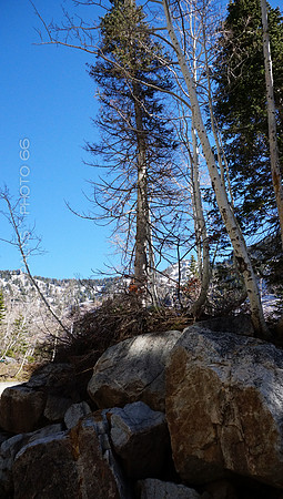 00711-Photo66