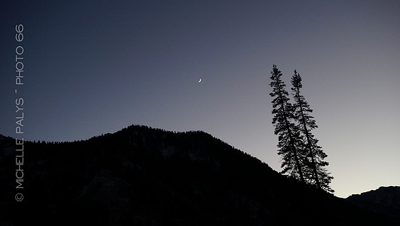 00803-Photo66