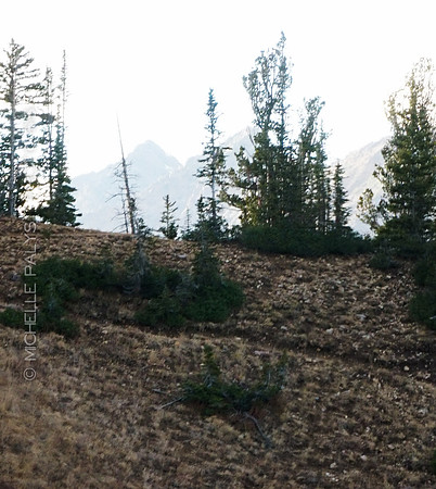00368-Photo66
