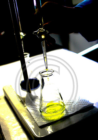 9520-Photo66