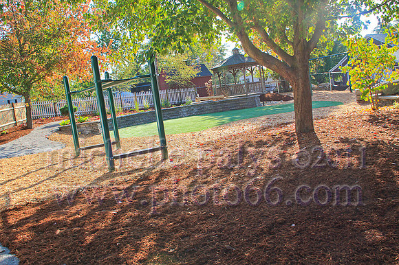 9249-Photo66
