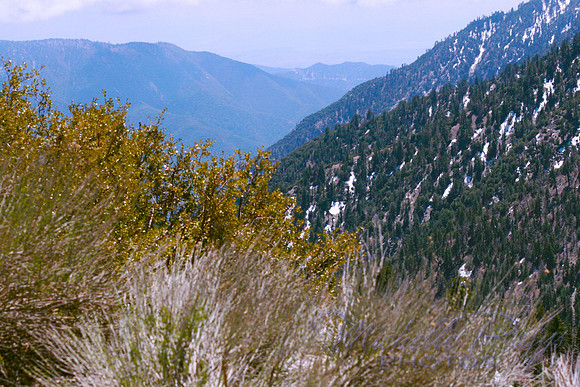 aIMG_0502e